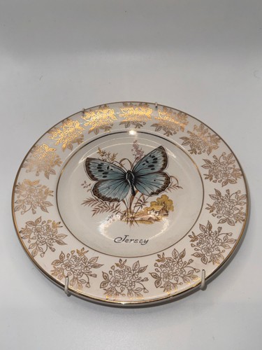 Vintage jersey souvenir plate - vintage,